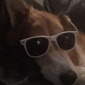 Meet your Posher, Max